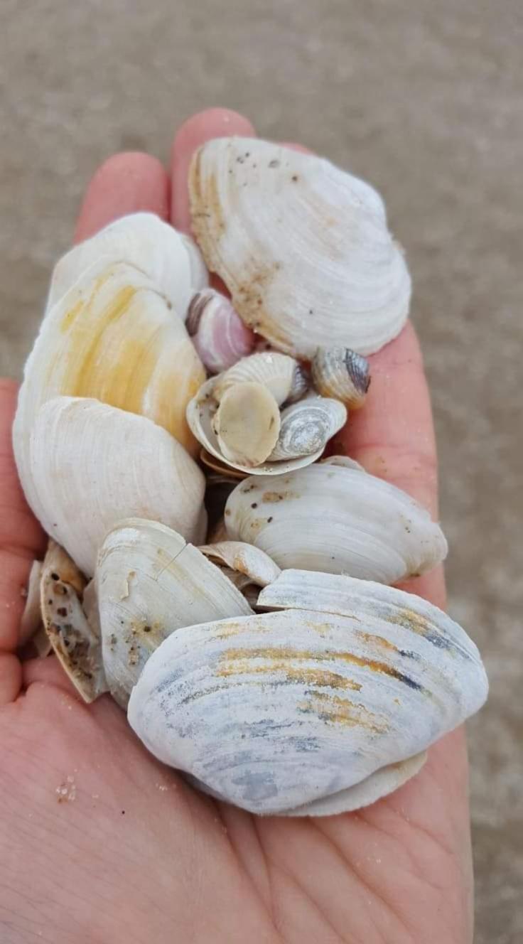 Appartamento Perfektmari Świnoujście Esterno foto