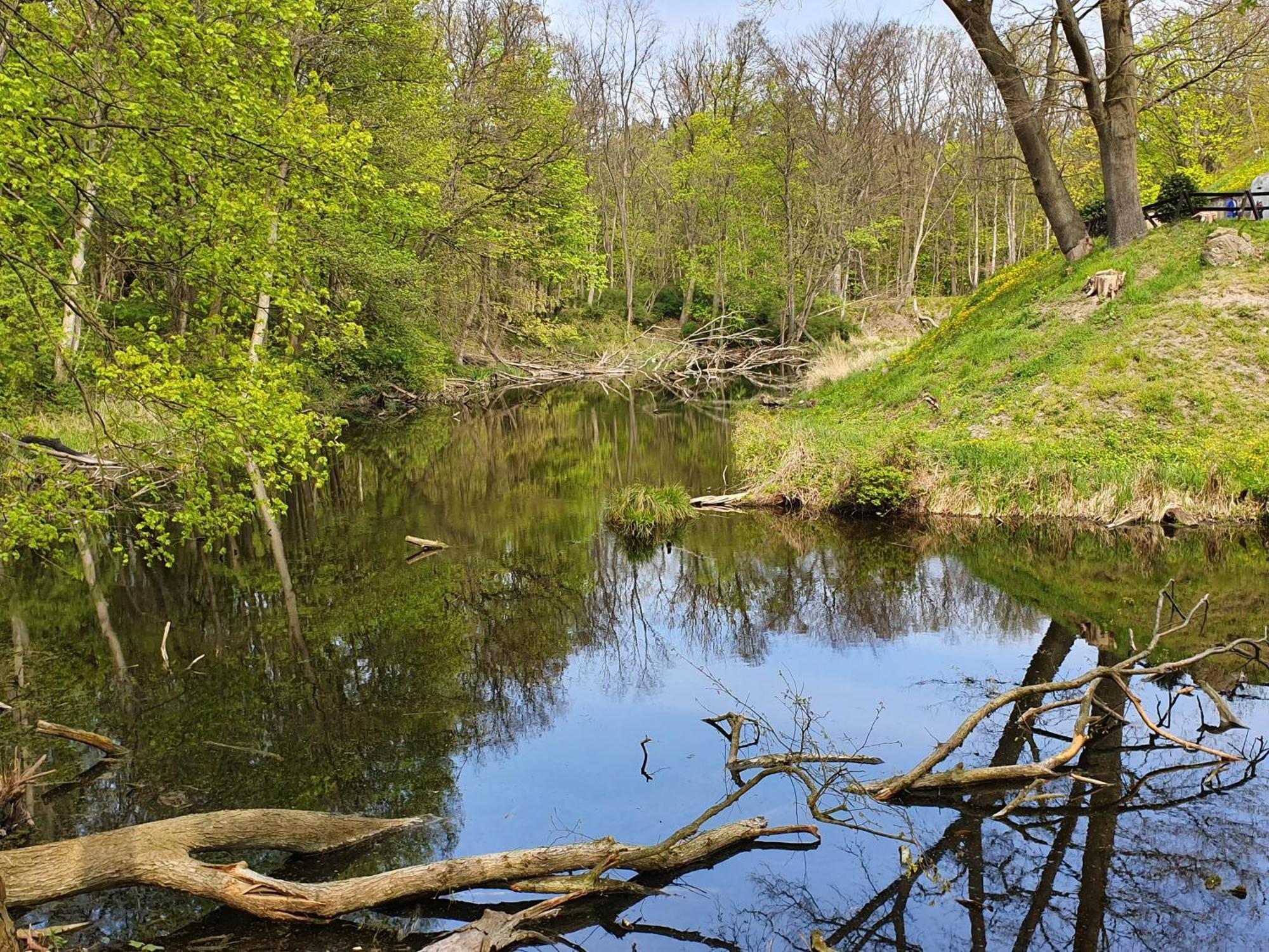 Appartamento Perfektmari Świnoujście Esterno foto
