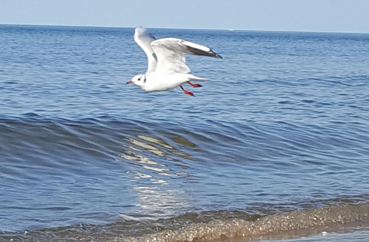 Appartamento Perfektmari Świnoujście Esterno foto